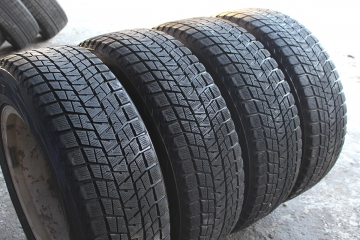 Шины bridgestone blizzak dm v1 характеристики